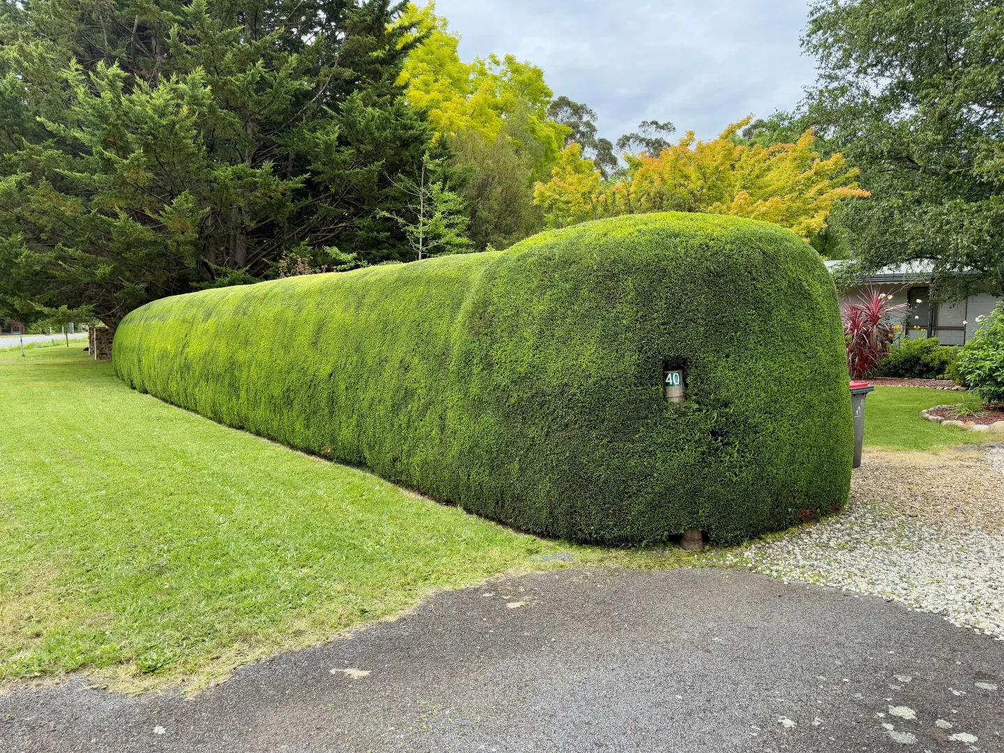 Additional image 24 of 40 Mareeba Avenue, Buxton VIC 3711