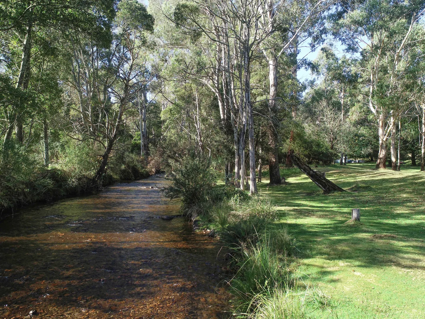 Additional image 18 of 2633 Mt Buller Road, Merrijig VIC 3723