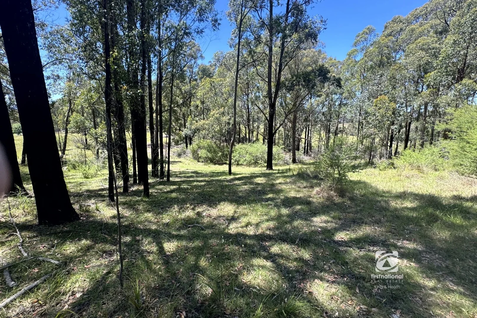 Additional image 5 of 139 Buchan South Road, Buchan South VIC 3885