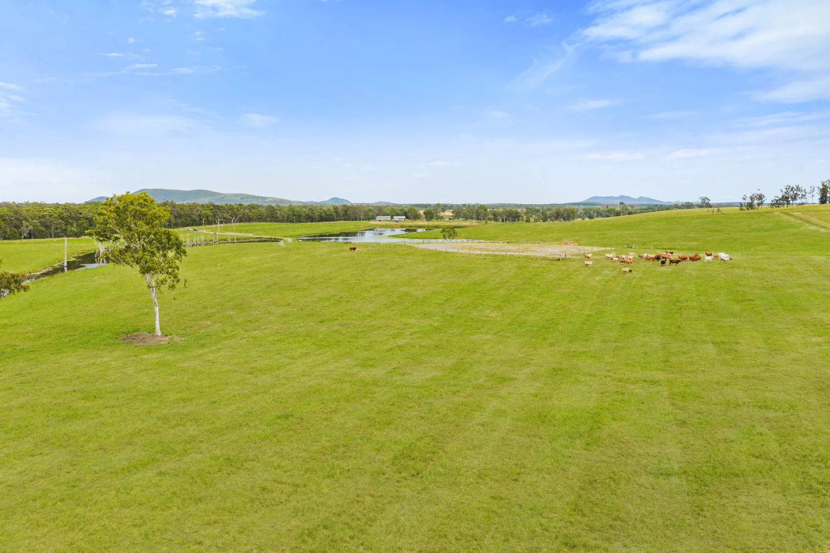 Additional image 14 of 1600 Anderleigh Road, Anderleigh QLD 4570