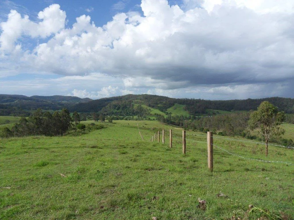 Additional image 23 of 665 Theresa Creek Road, Theresa Creek NSW 2469