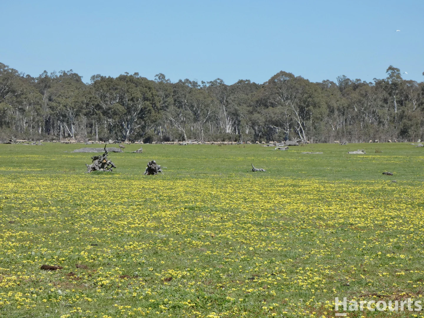 Additional image 15 of . Red Rock Road, Glenisla VIC 3314