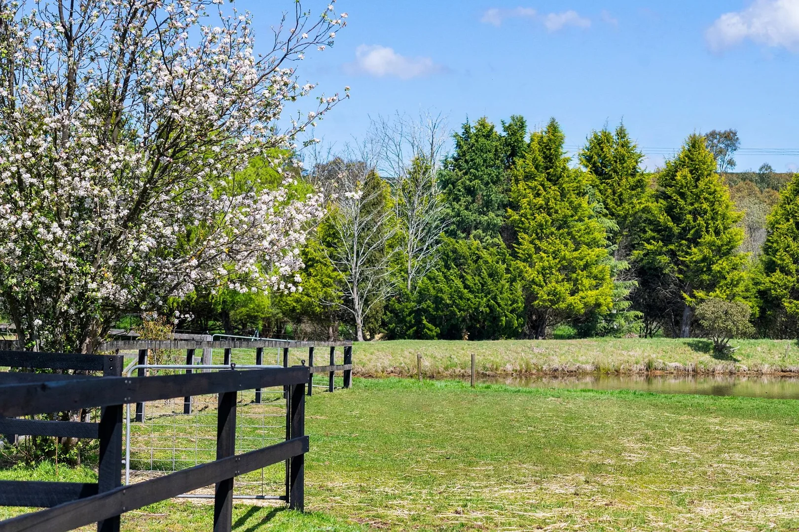 Additional image 20 of 138 Bibbys Lane, Werai NSW 2577