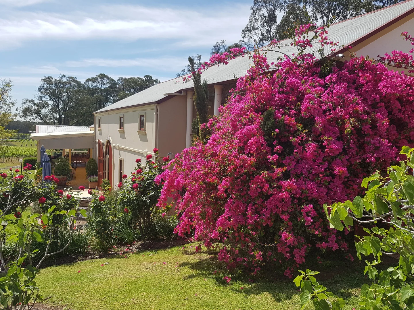 Additional image 8 of 725 Hermitage Road, Pokolbin NSW 2320