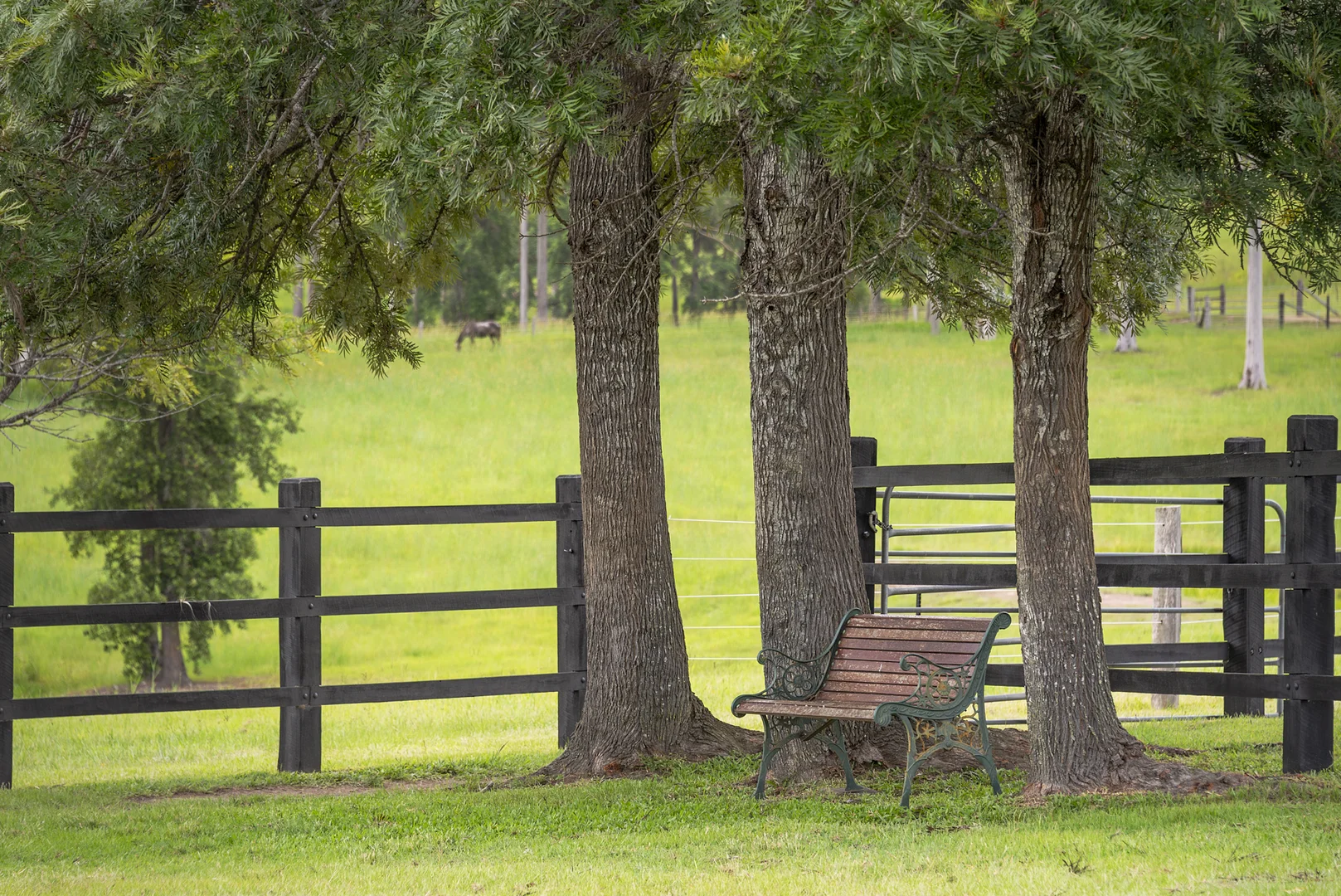 Additional image 20 of 240 Keefton Road, Woondum QLD 4570