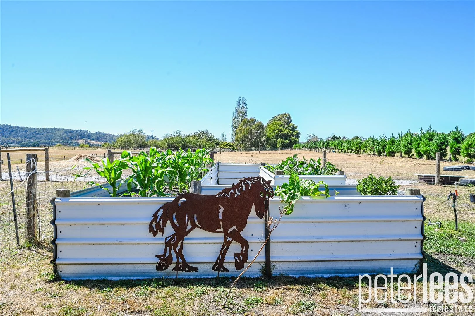 Additional image 18 of 25498 Tasman Highway, St Helens TAS 7216