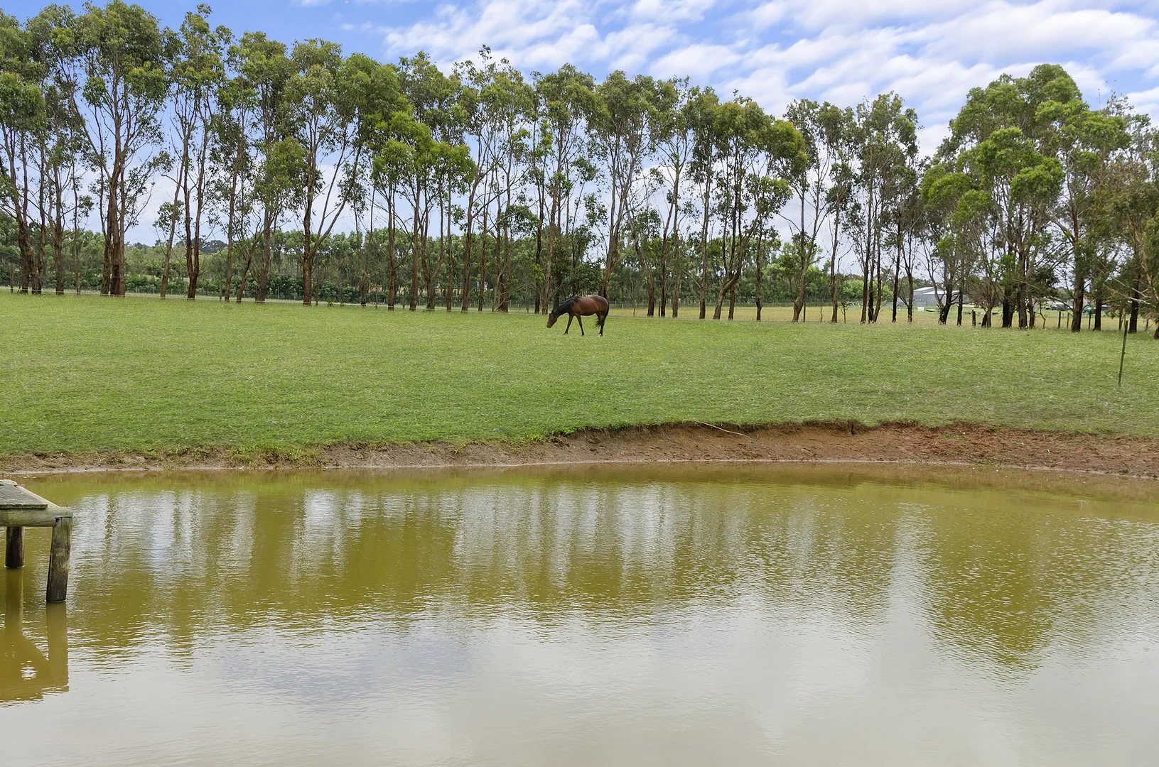 Additional image 17 of 24 Tully Lane, Bolwarra VIC 3305