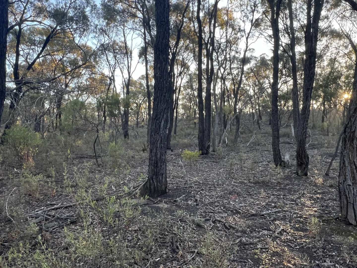 Additional image 8 of 373 Josephine Drive, Wedderburn VIC 3518