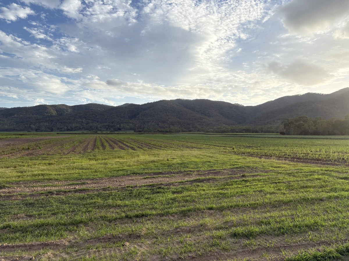 Additional image 8 of 2 Sievers Road, Oakenden QLD 4741