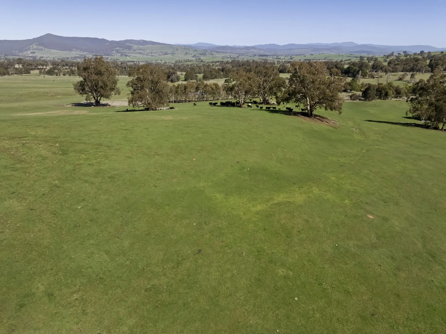 Additional image 5 of 150 Gonzaga Lane, Merrijig VIC 3723