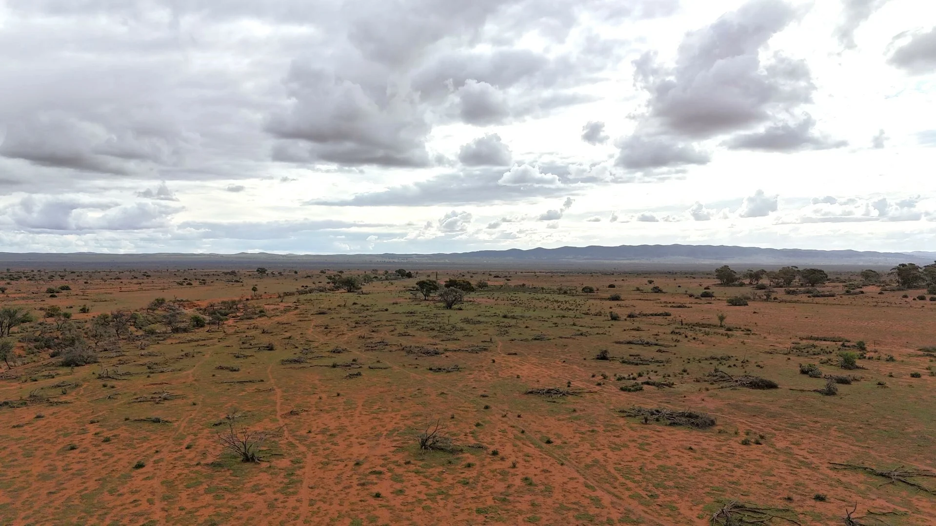 Additional image 7 of 'Acacia Ridge' 511 Tapscott Rd, Orroroo SA 5431