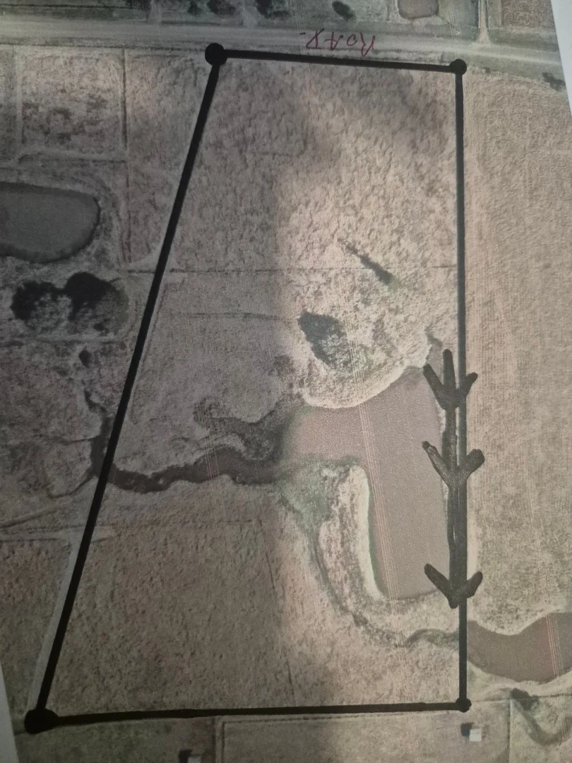 Additional image 9 of 167 Linnings Rd, Haigslea QLD 4306