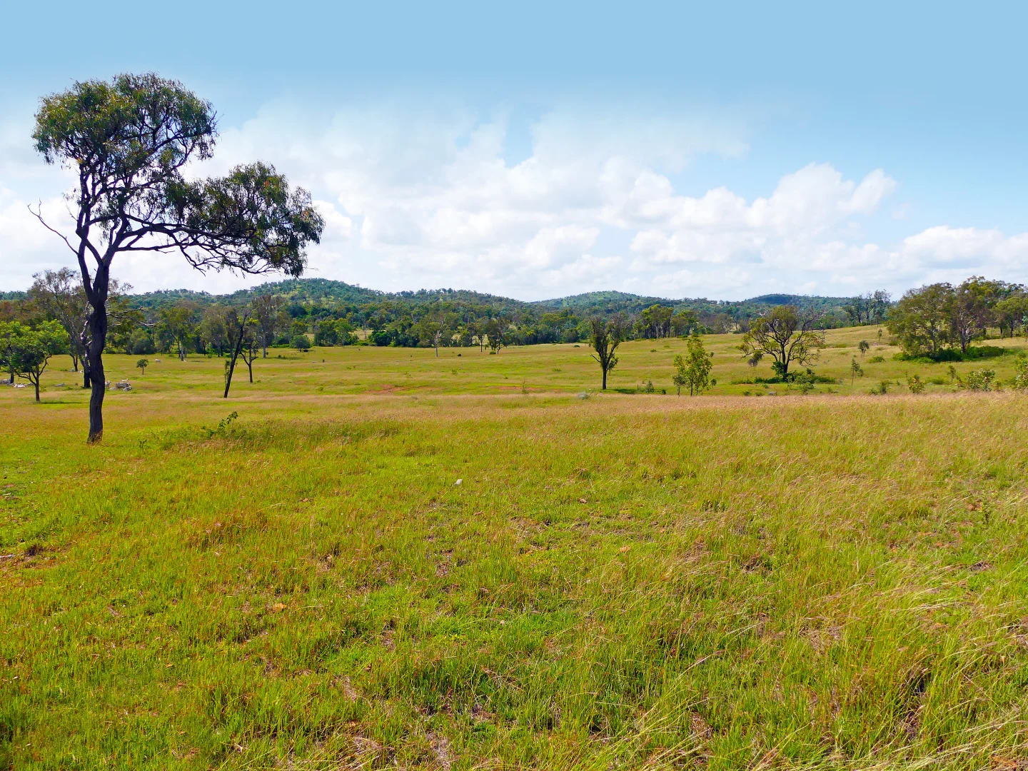Additional image 10 of "Jacques " 0 Cunningham Road,, Nine Mile QLD 4702