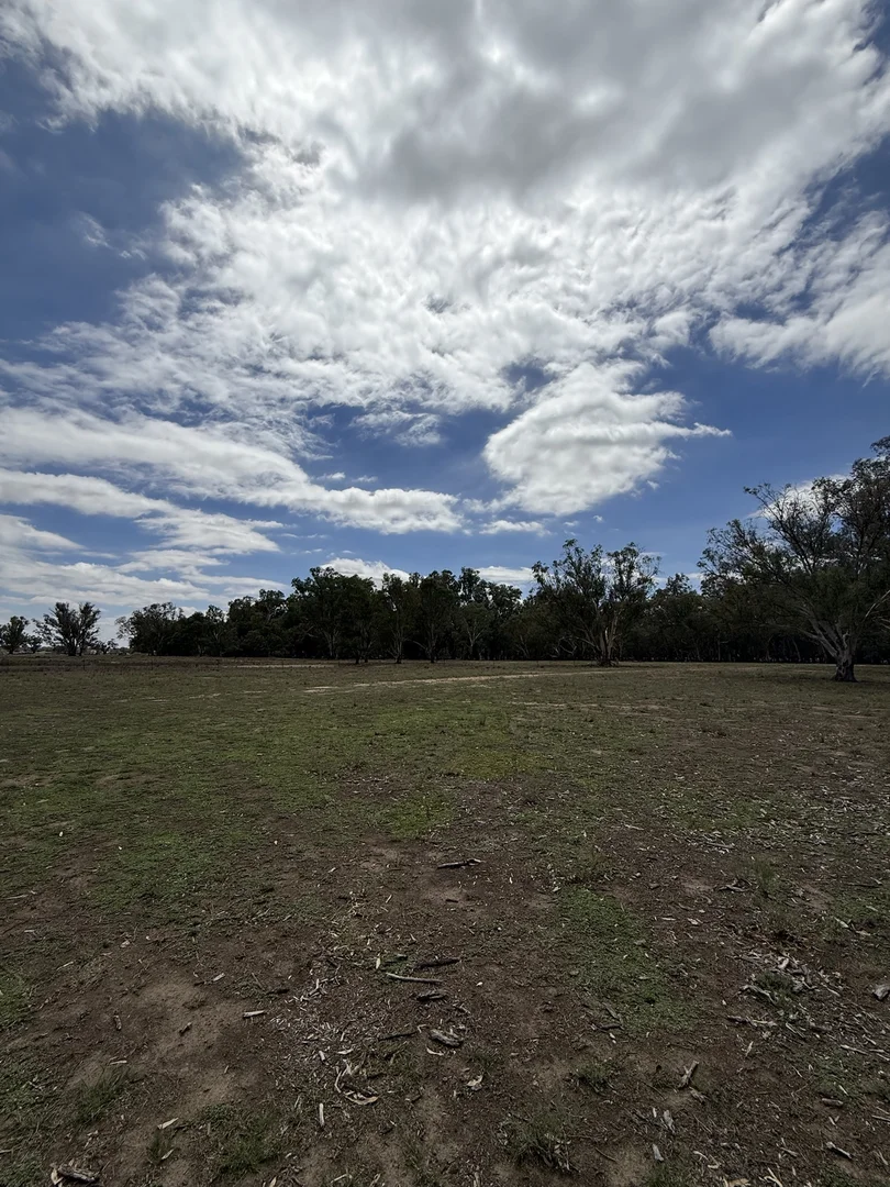 Additional image 56 of 506 North Forbes Rd, Condobolin NSW 2877
