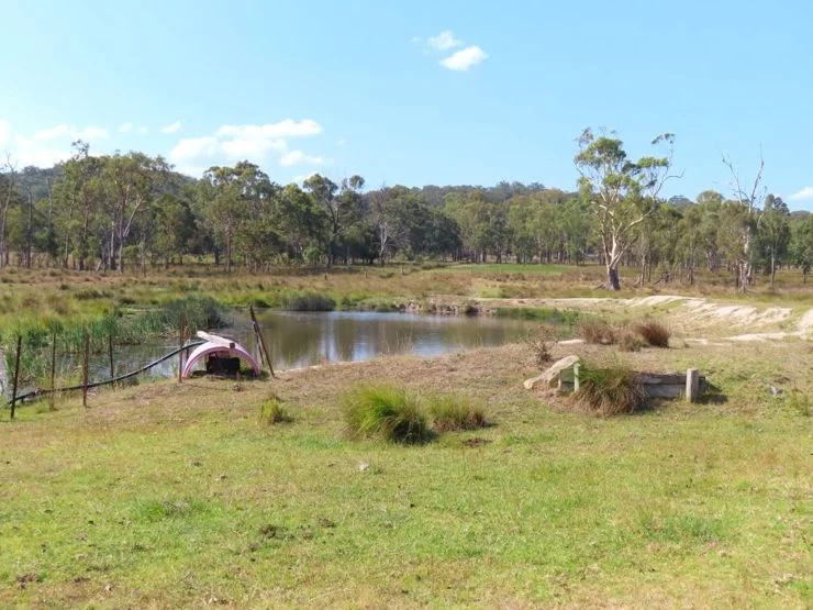 Additional image 18 of 98 McKechnie Road, Stanthorpe QLD 4380