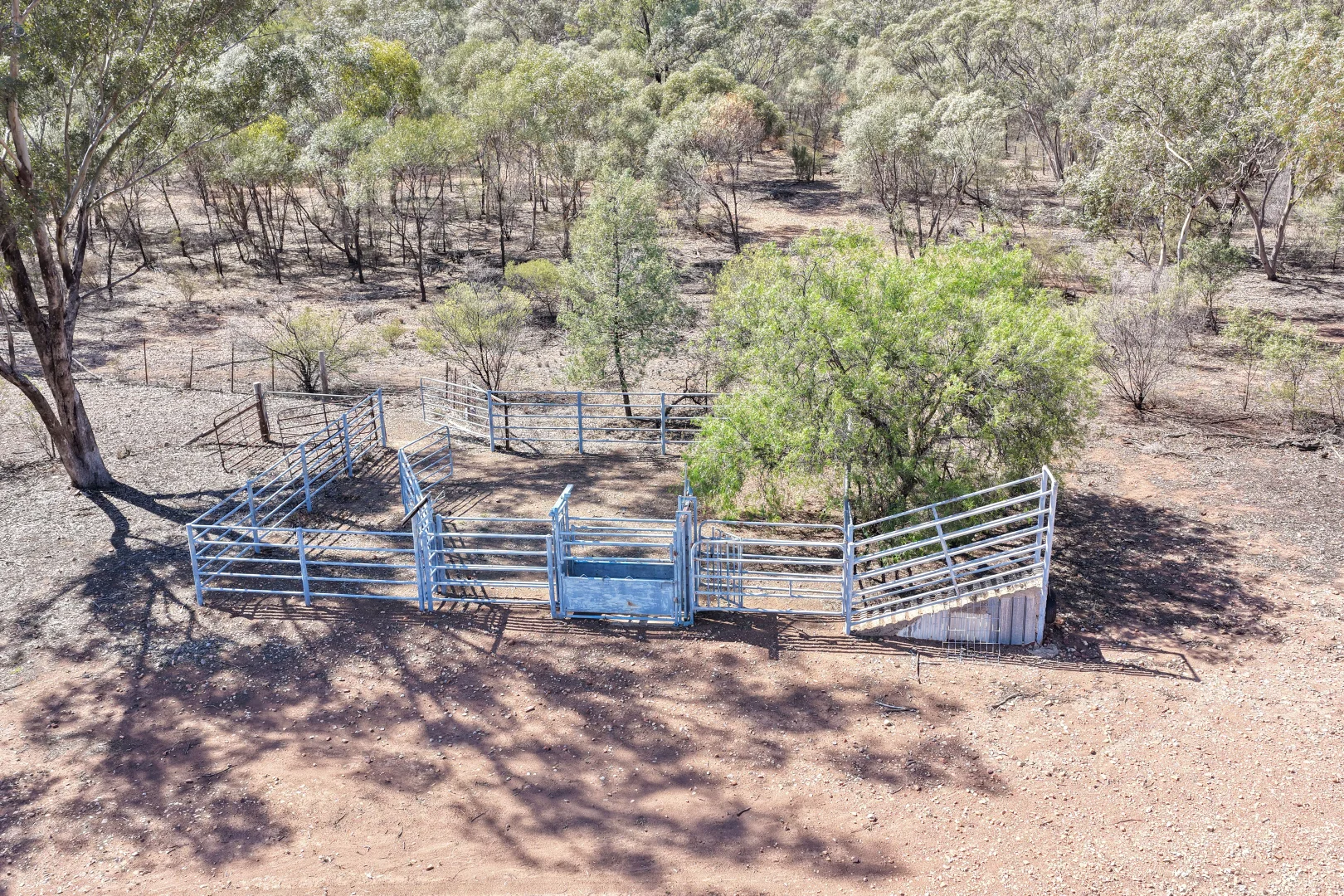 Additional image 30 of 'Milbee Hill' 6318 Lake Cargelligo Road, Condobolin NSW 2877