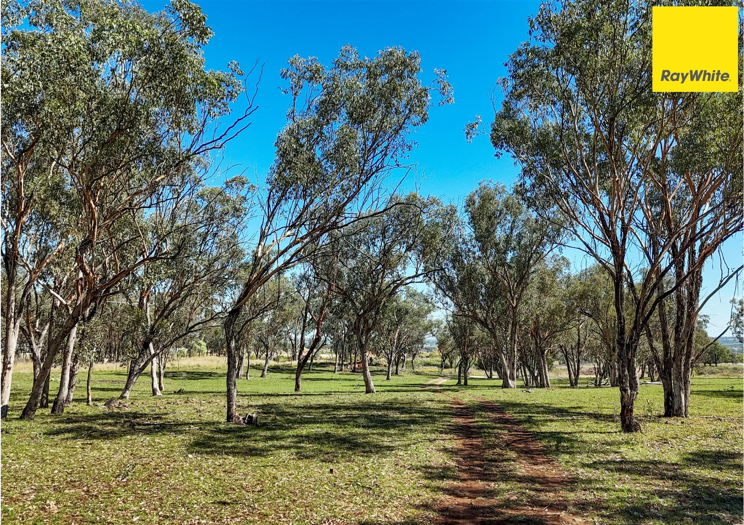 Additional image 18 of Lot 2 Burtenshaws Road, Inverell NSW 2360