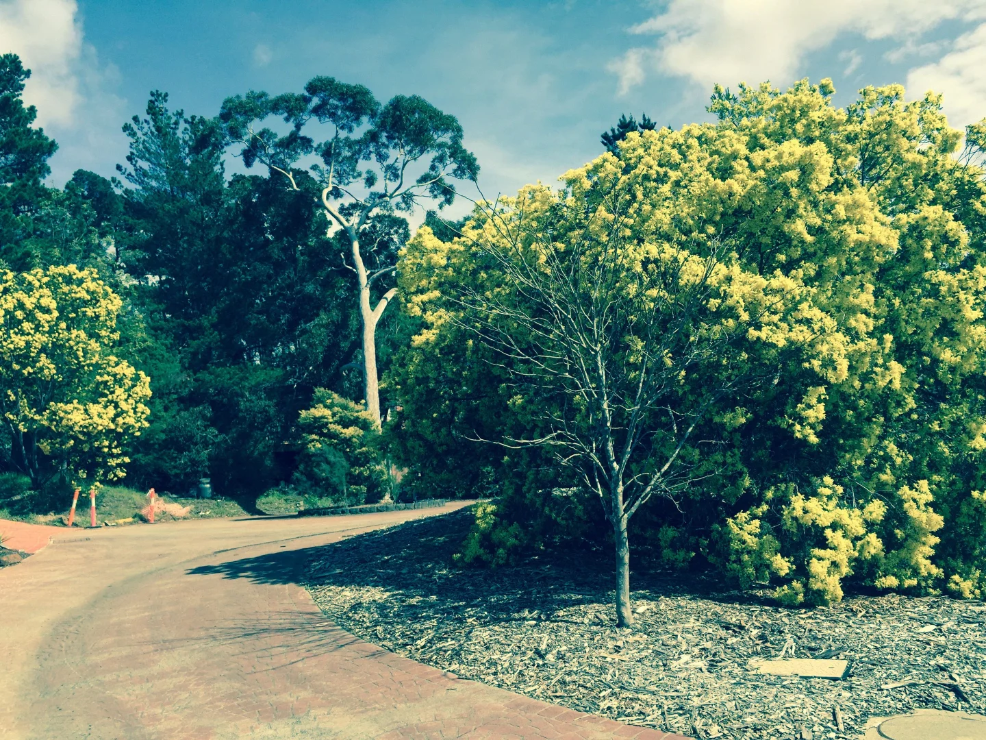 Additional image 22 of 6 MOZART CIRCLE, Donvale VIC 3111