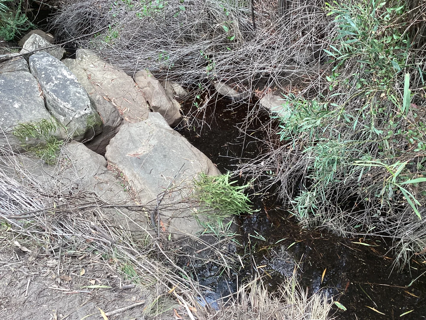 Additional image 40 of 157 Berrymans Road, Gosse SA 5223