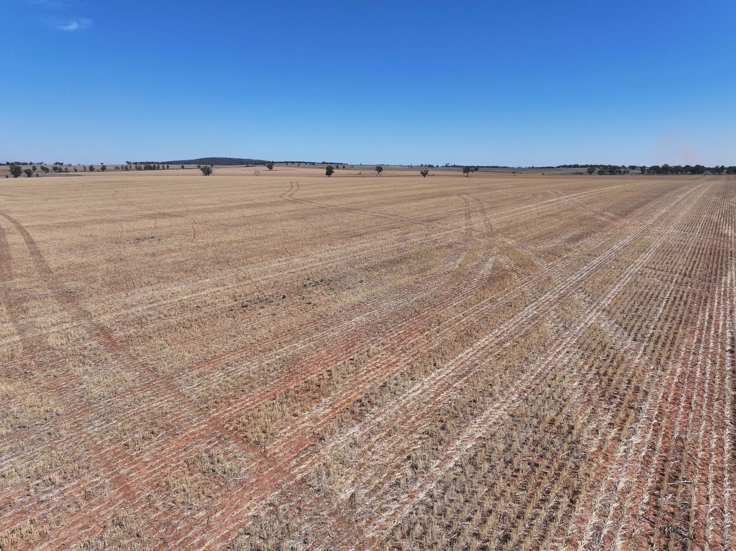 Additional image 8 of 'Nolens'  5000 Barellan Road, Colinroobie NSW 2700