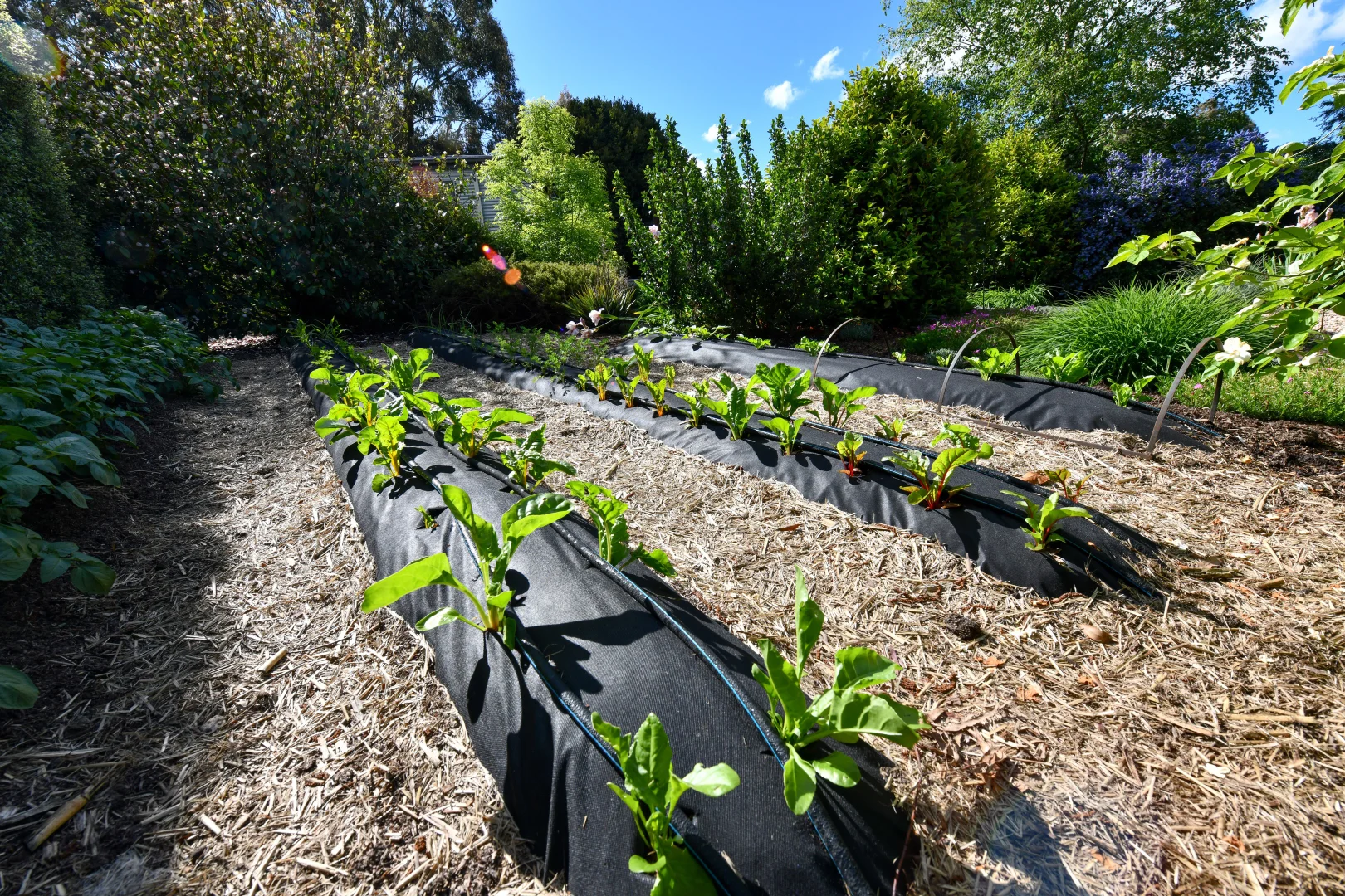 Additional image 16 of 1A Station Street, Trentham VIC 3458