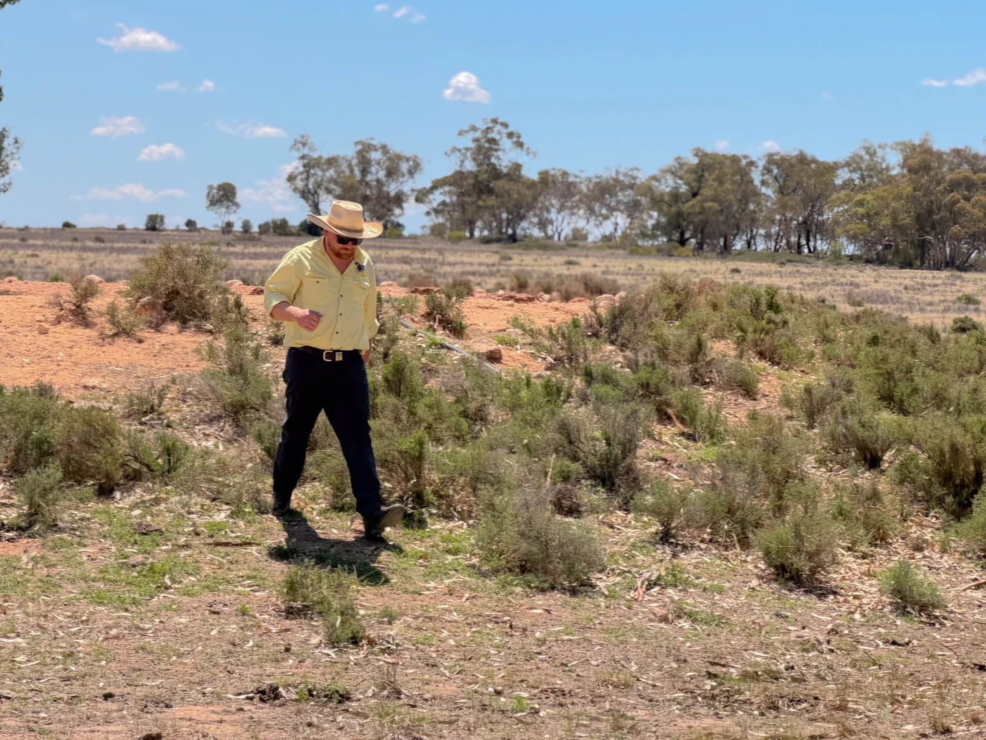 Additional image 5 of 735 Clear Ridge Road, Wyalong NSW 2671