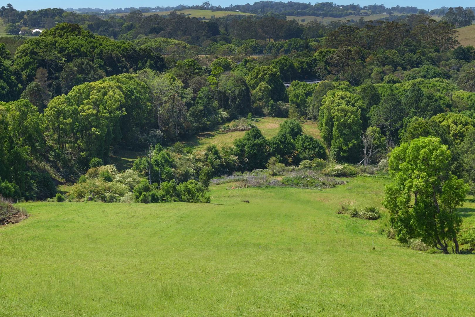 Additional image 9 of 68 Rankin Drive, Bangalow NSW 2479