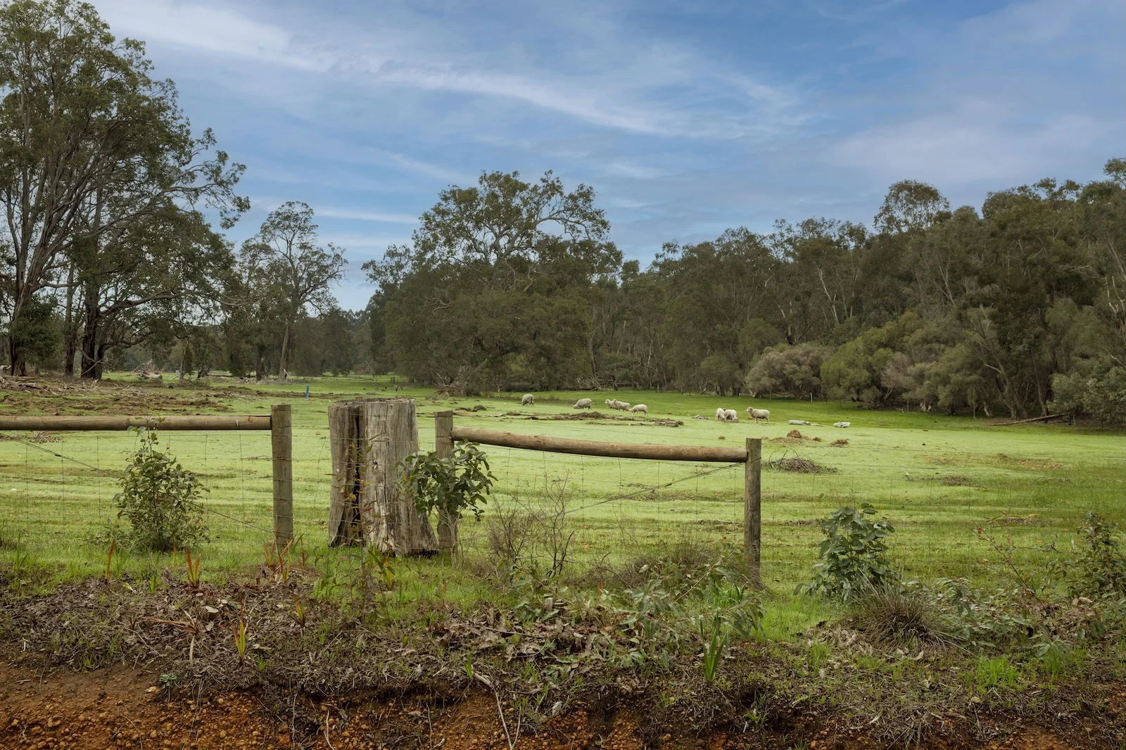 Additional image 14 of Lot 74 Burchardia Cr, Donnybrook WA 6239