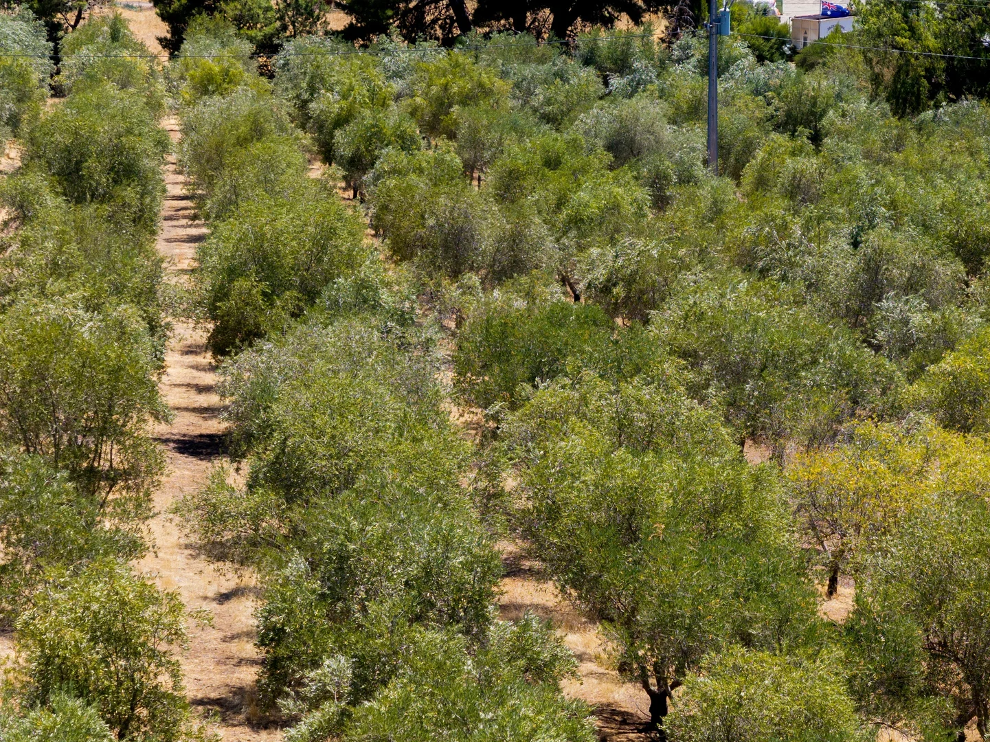 Additional image 37 of 134 Farrell Flat Road, Clare SA 5453