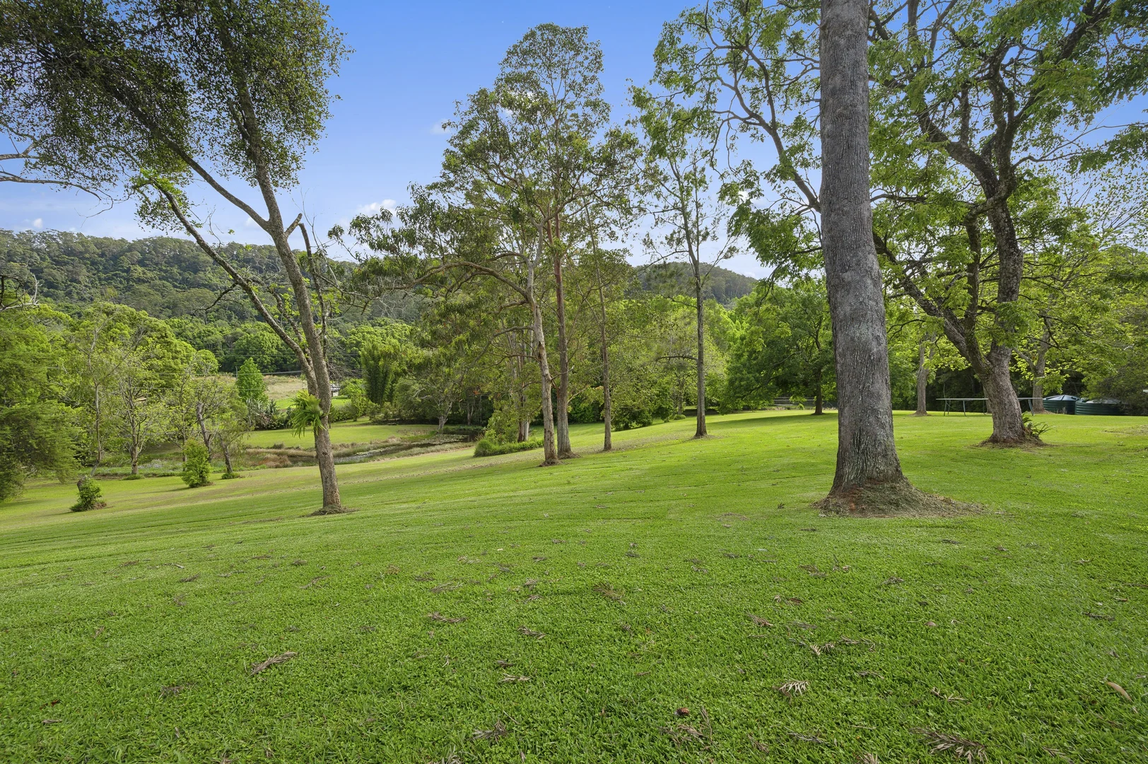 Additional image 15 of 280A Upper Orara Road, Karangi NSW 2450