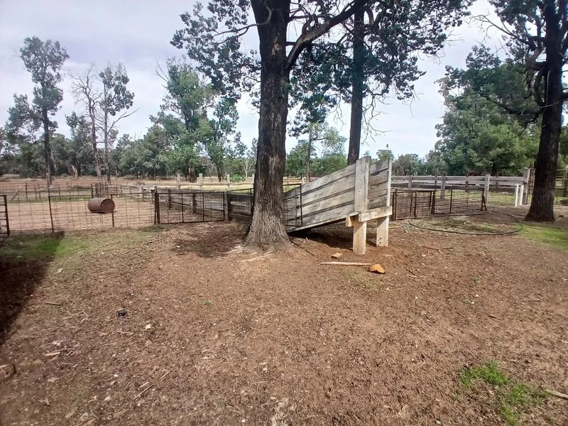 Additional image 7 of Tooraweenah NSW 2817