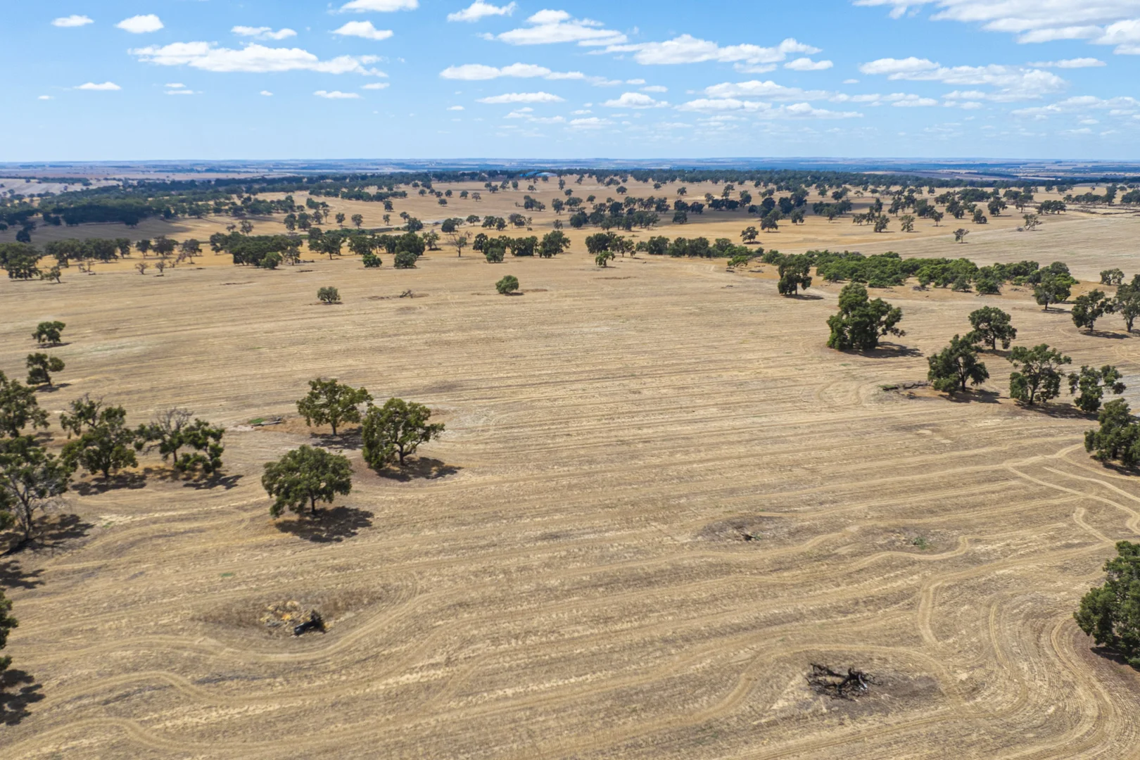 Additional image 27 of 1830 Rowes Road, Dandaragan WA 6507