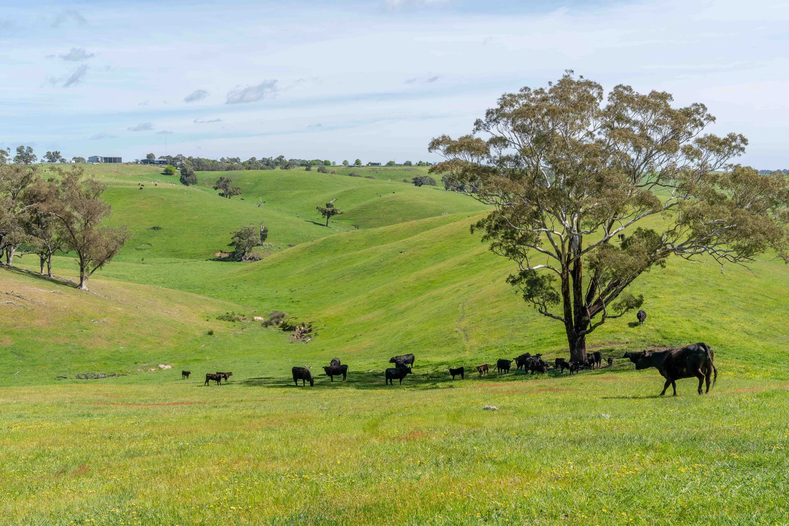 Additional image 13 of 362 Watchbox Road, Barfold VIC 3444