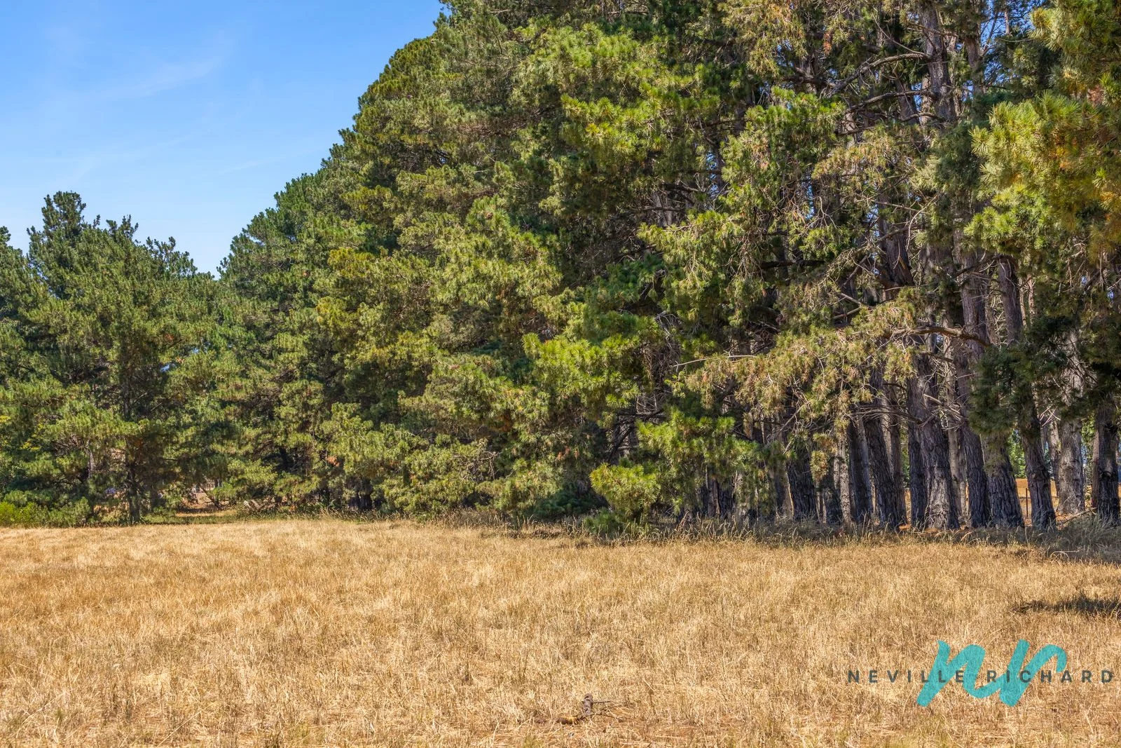 Additional image 10 of 111-119 Old St Leonards Road, St Leonards VIC 3223