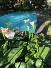 Additional image 20 of 6 MOZART CIRCLE, Donvale VIC 3111