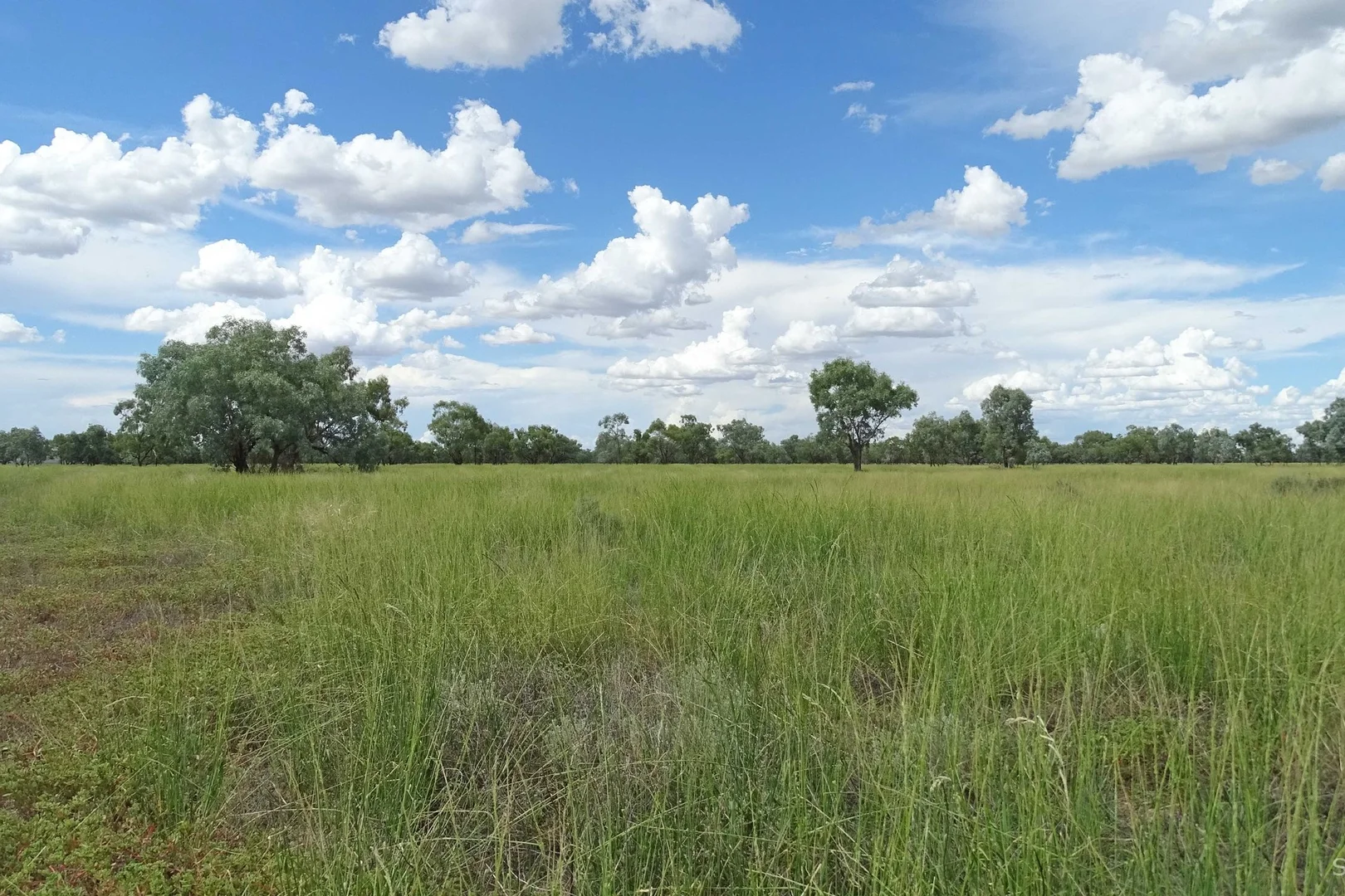 Additional image 7 of 645 Kamilaroi Highway, Bourke NSW 2840