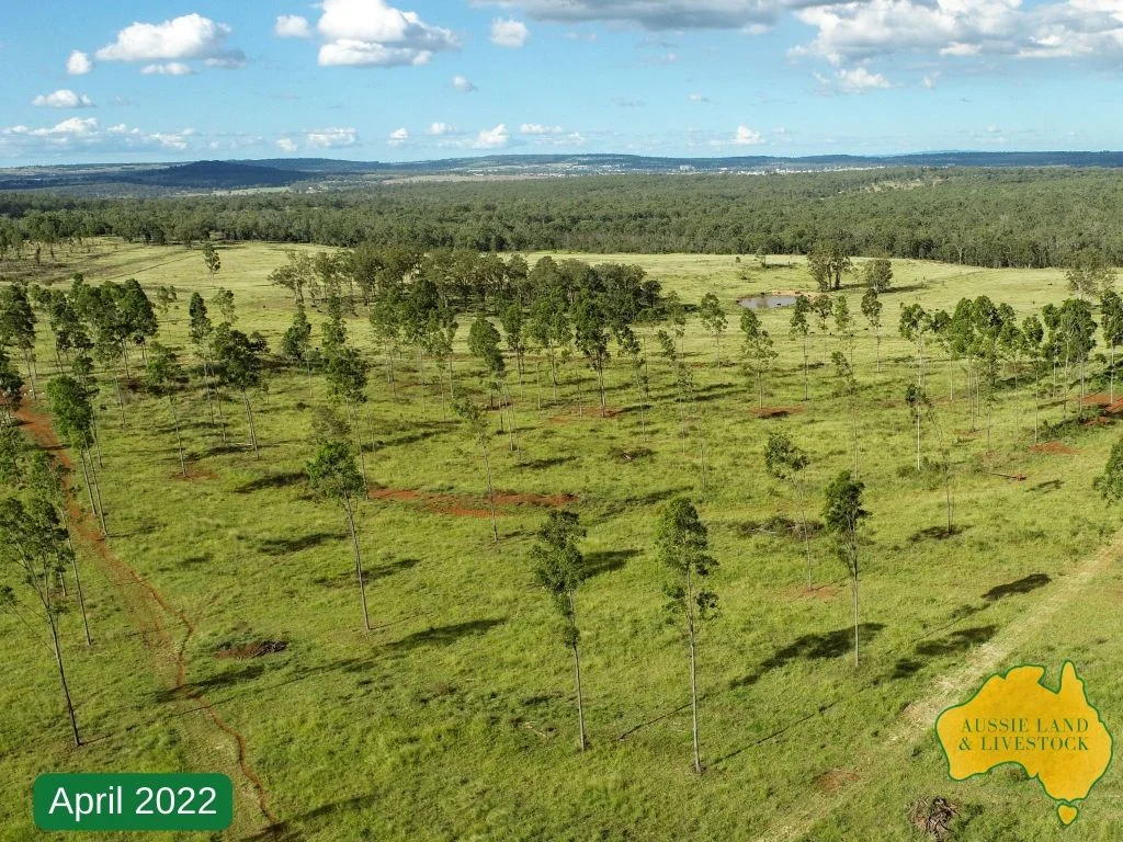 Additional image 4 of 225 BEILS ROAD, Kingaroy QLD 4610