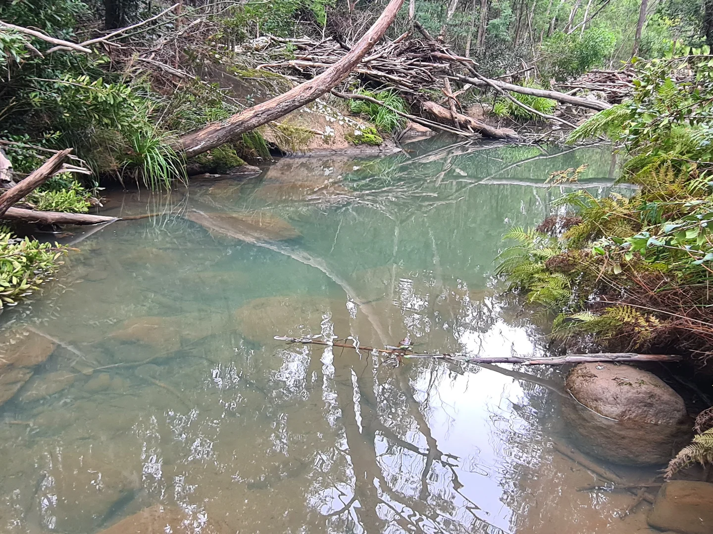 Additional image 3 of Illaroo NSW 2540