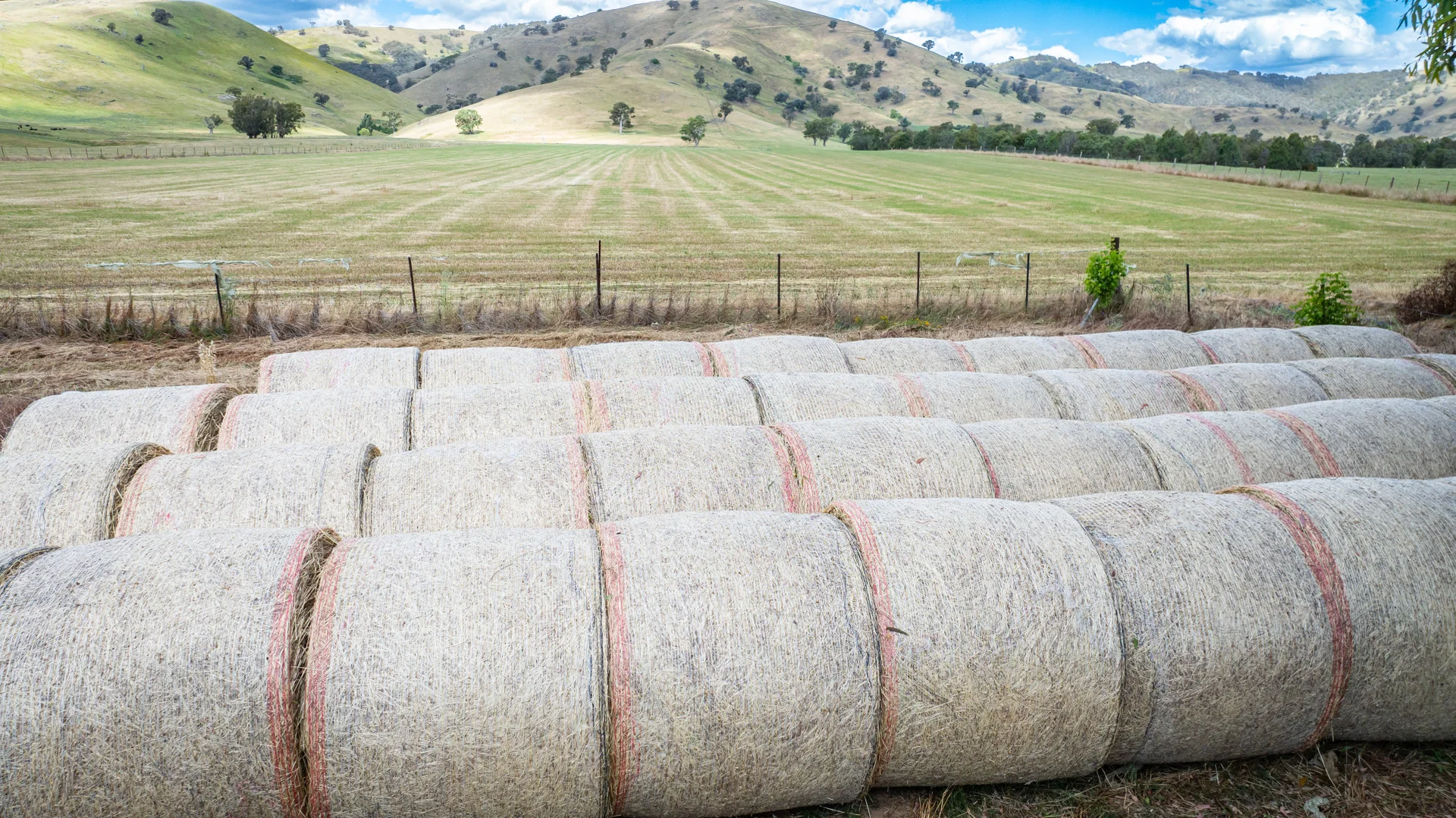 Additional image 9 of 4118 Murray River Road, Thologolong VIC 3691