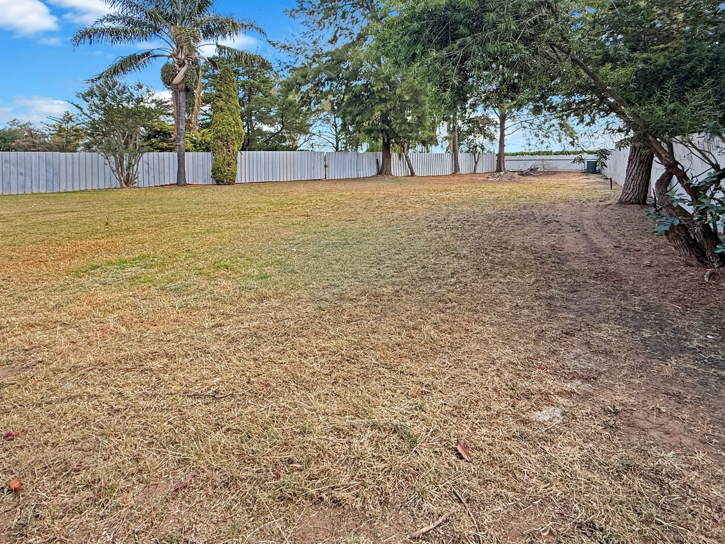 Additional image 10 of 2597 Irrigation Way, Leeton NSW 2705