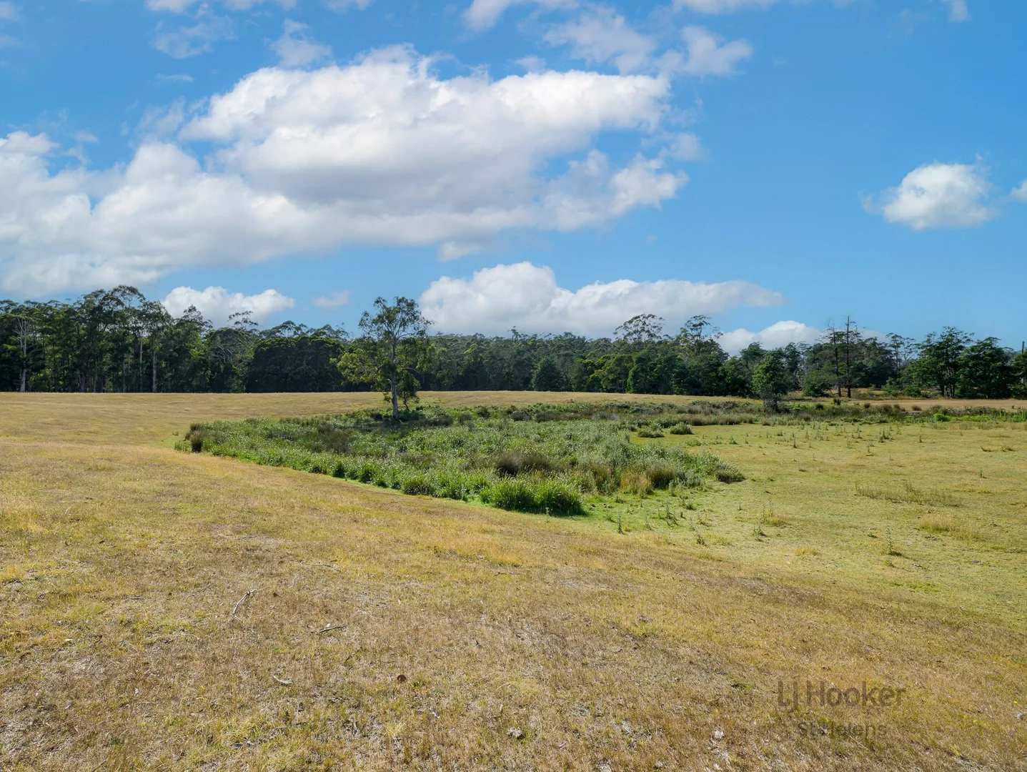 Additional image 13 of 96 Terrys Hill Road, Goshen TAS 7216