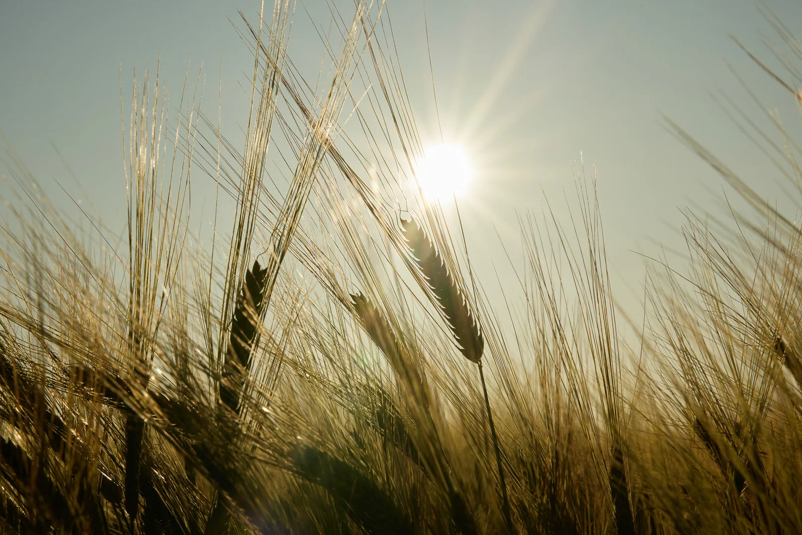 Additional image 19 of 91 Mort Street, Toowoomba City QLD 4350