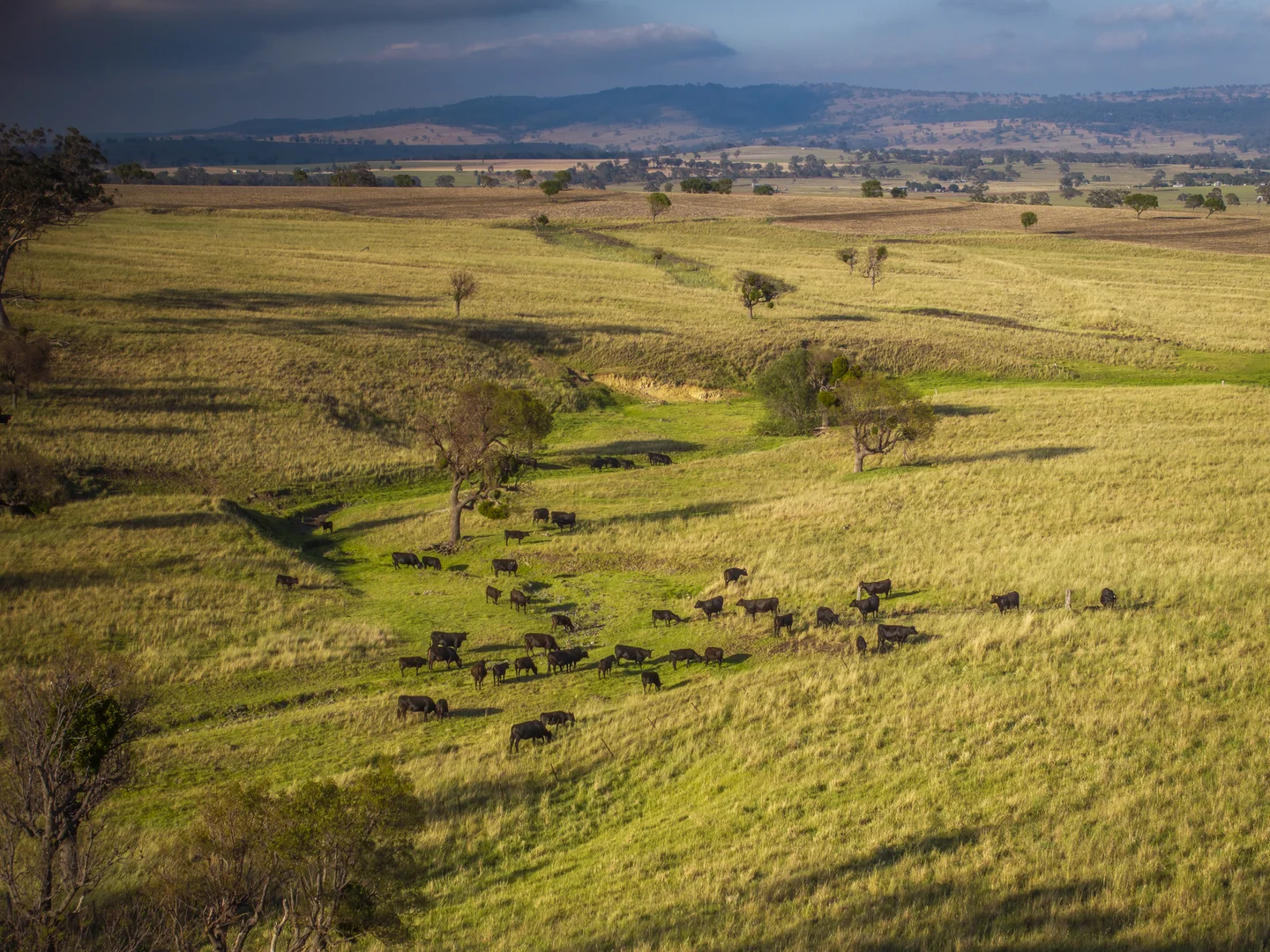 Additional image 5 of 'Mountainside' 250 Mountain Side Road, Coolah NSW 2843