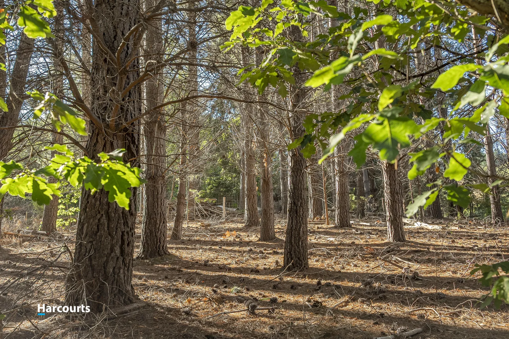 Additional image 12 of 38 Autumn Road, Cradoc TAS 7109