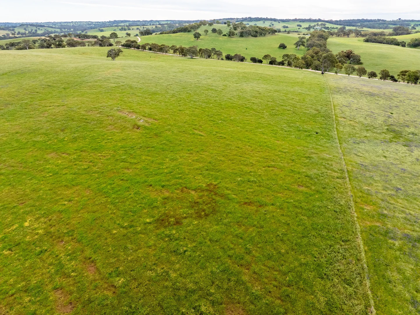 Additional image 15 of 312 Collins Road, Tungkillo SA 5236