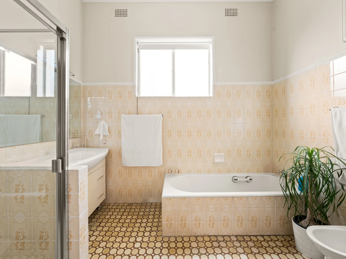 Additional image 8 of 97 Willison Road, Carlton NSW 2218