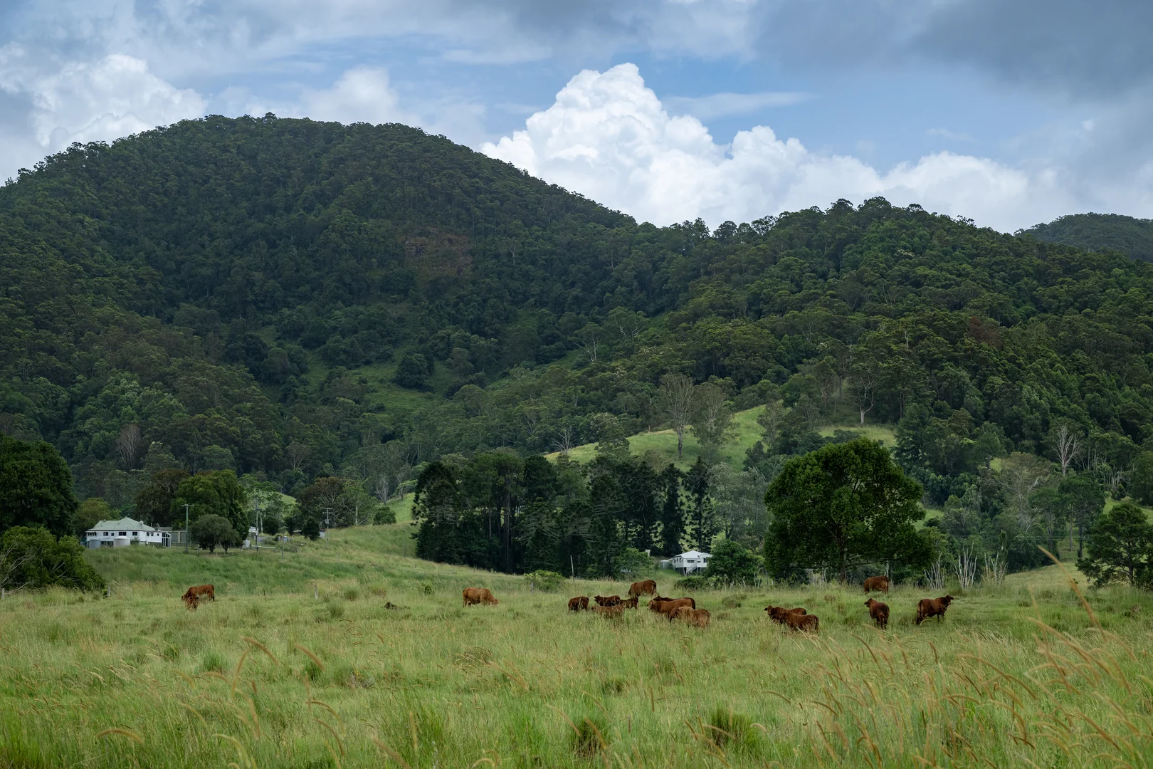 Additional image 10 of 43 Cutmore Road, Obi Obi QLD 4574