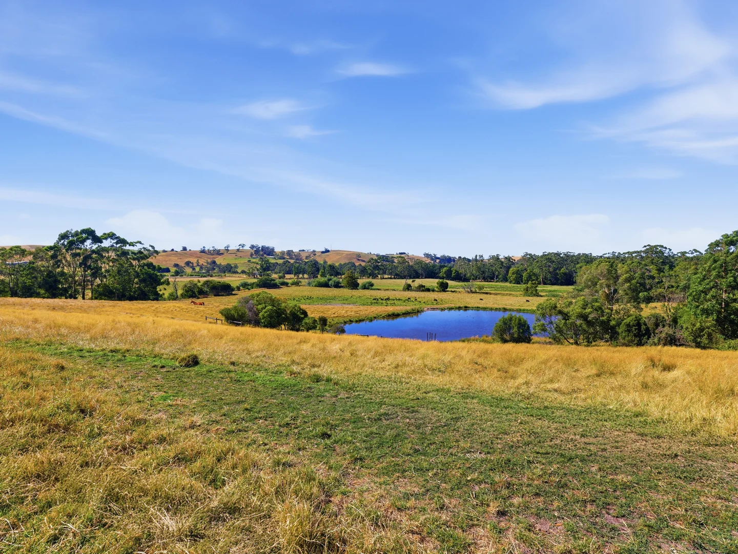 Additional image 20 of 105 Stockdales Road, Koonwarra VIC 3954