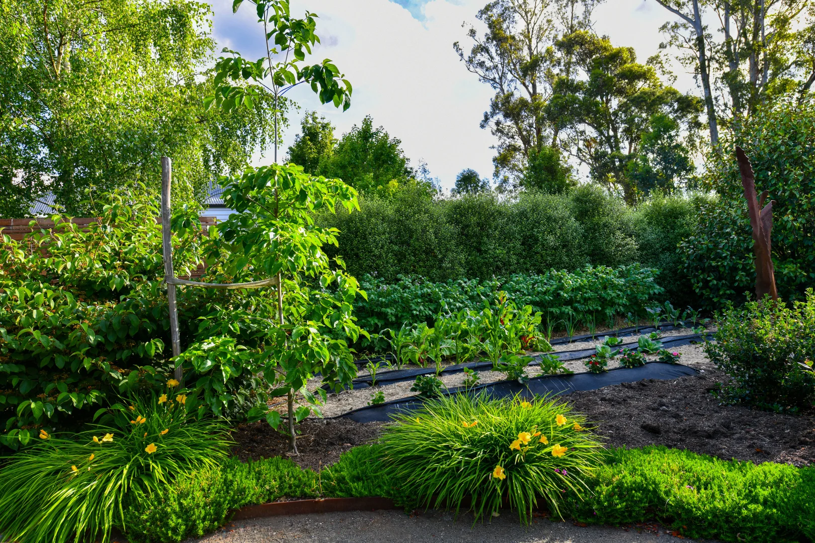 Additional image 9 of 1A Station Street, Trentham VIC 3458