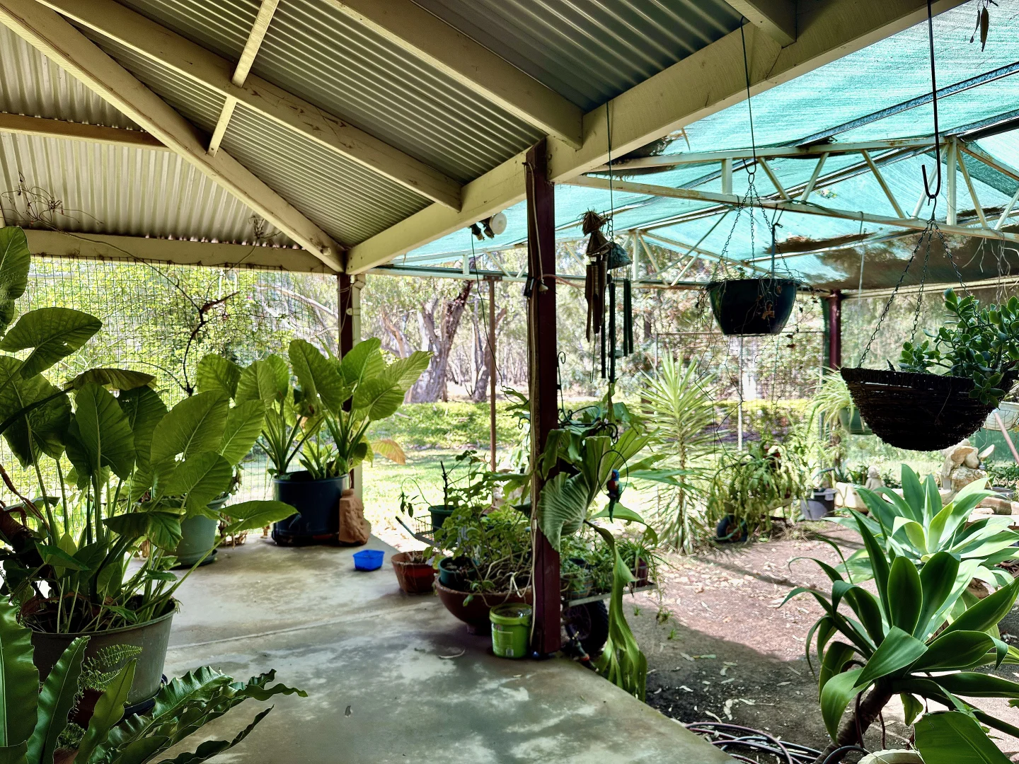 Additional image 19 of 506 North Forbes Rd, Condobolin NSW 2877